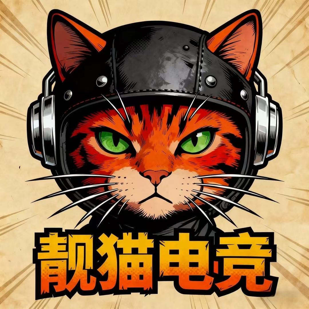 靓猫电竞（128包788）