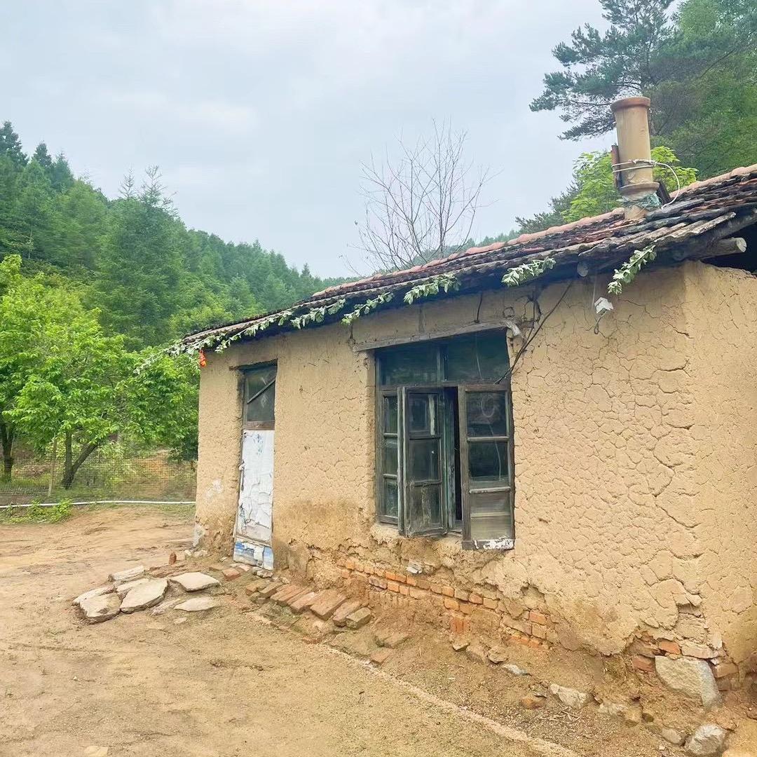 农村养殖记录生活