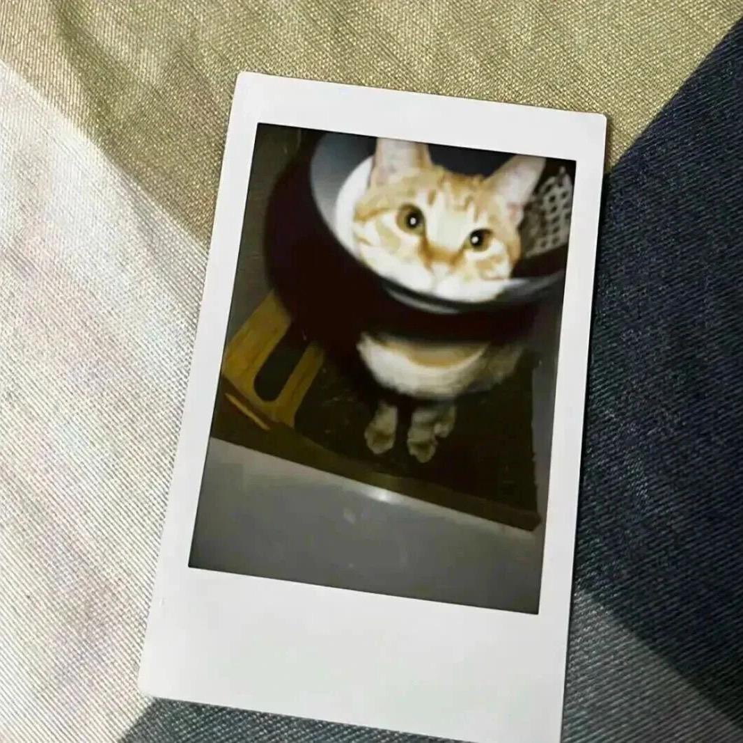 早上不想起