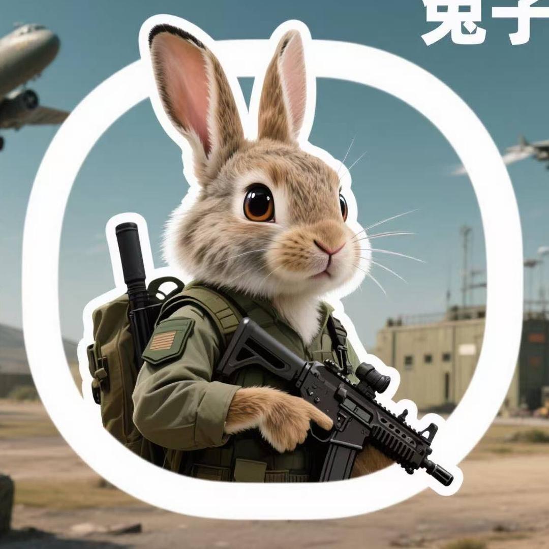 兔子观察