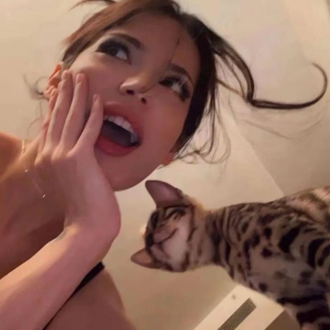 依然.