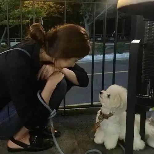 慕慕慕
