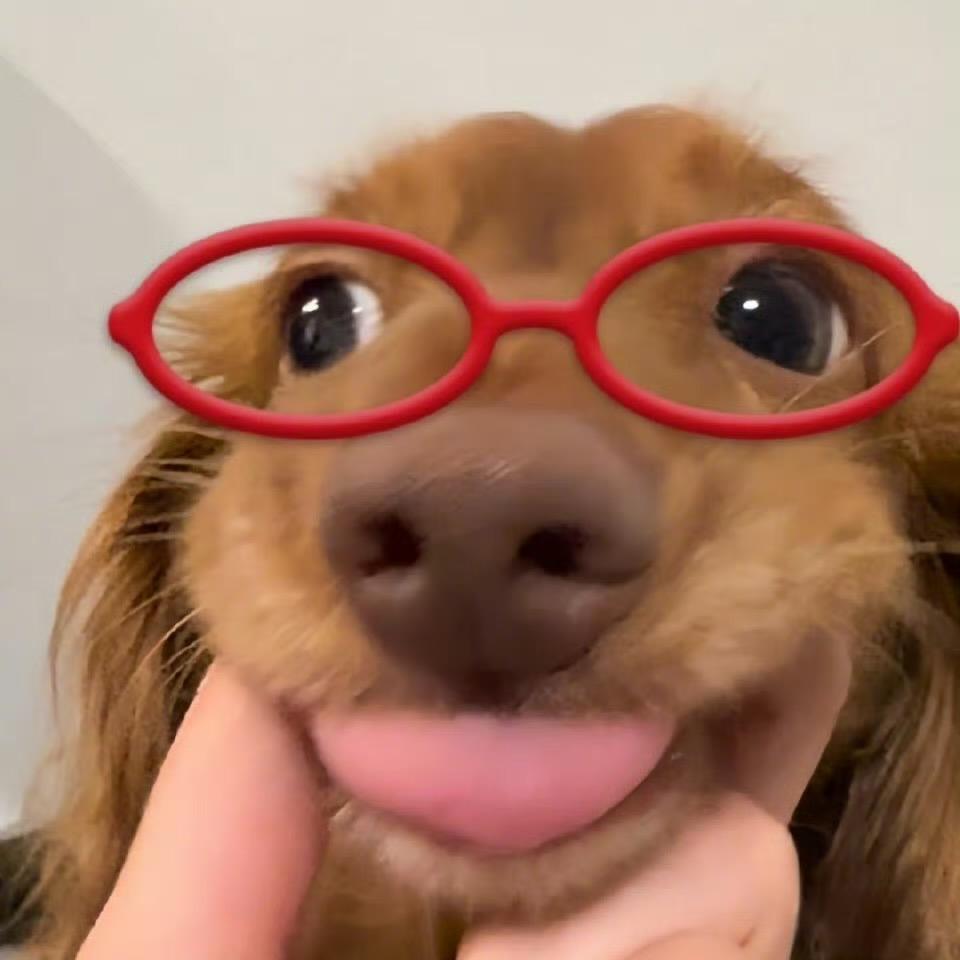 啼啼