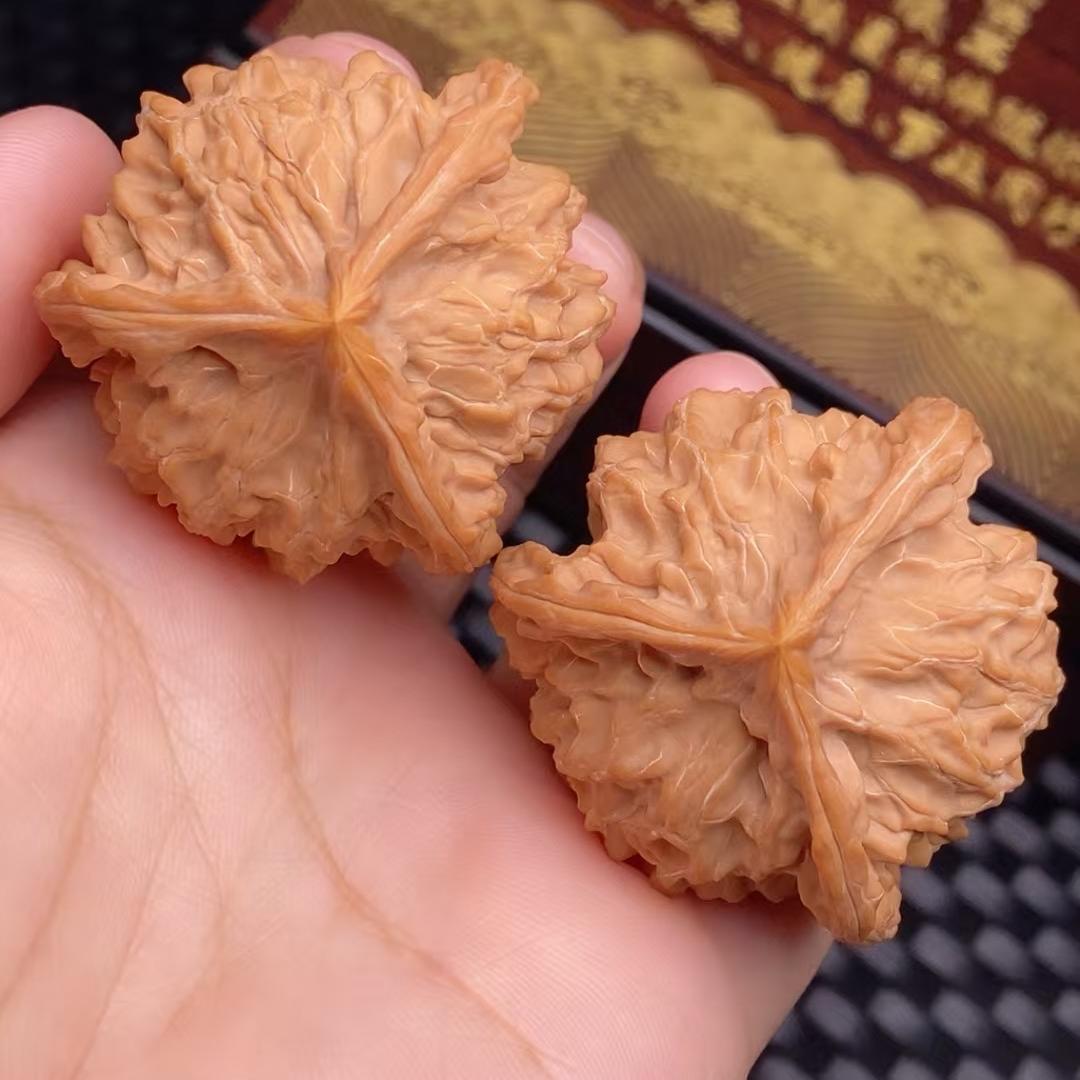 尚核缘 于老师聊核桃