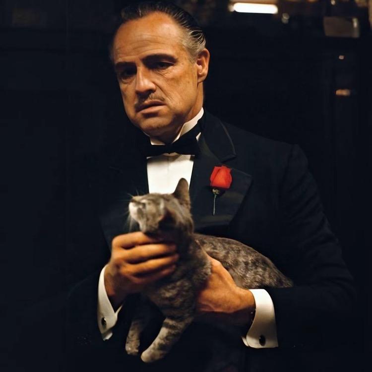 此时不搏何时博！