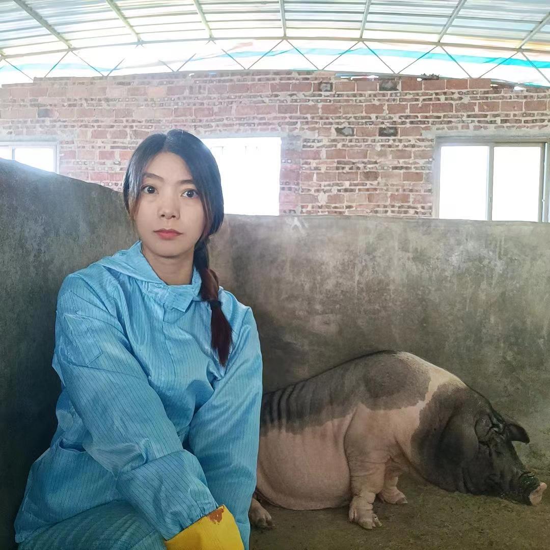 猪姑娘（小号）