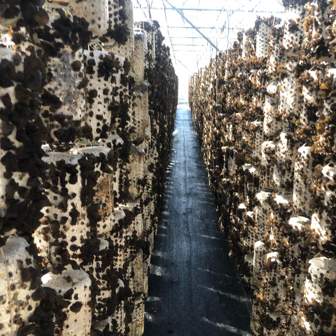 陇小壮农产品商铺