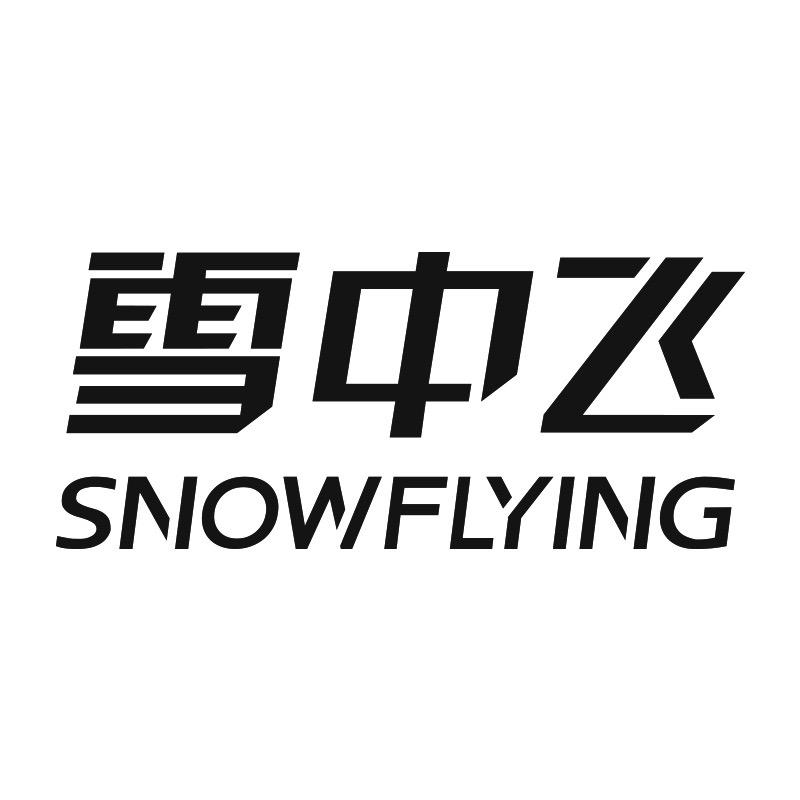 雪中飞泰骏专卖店