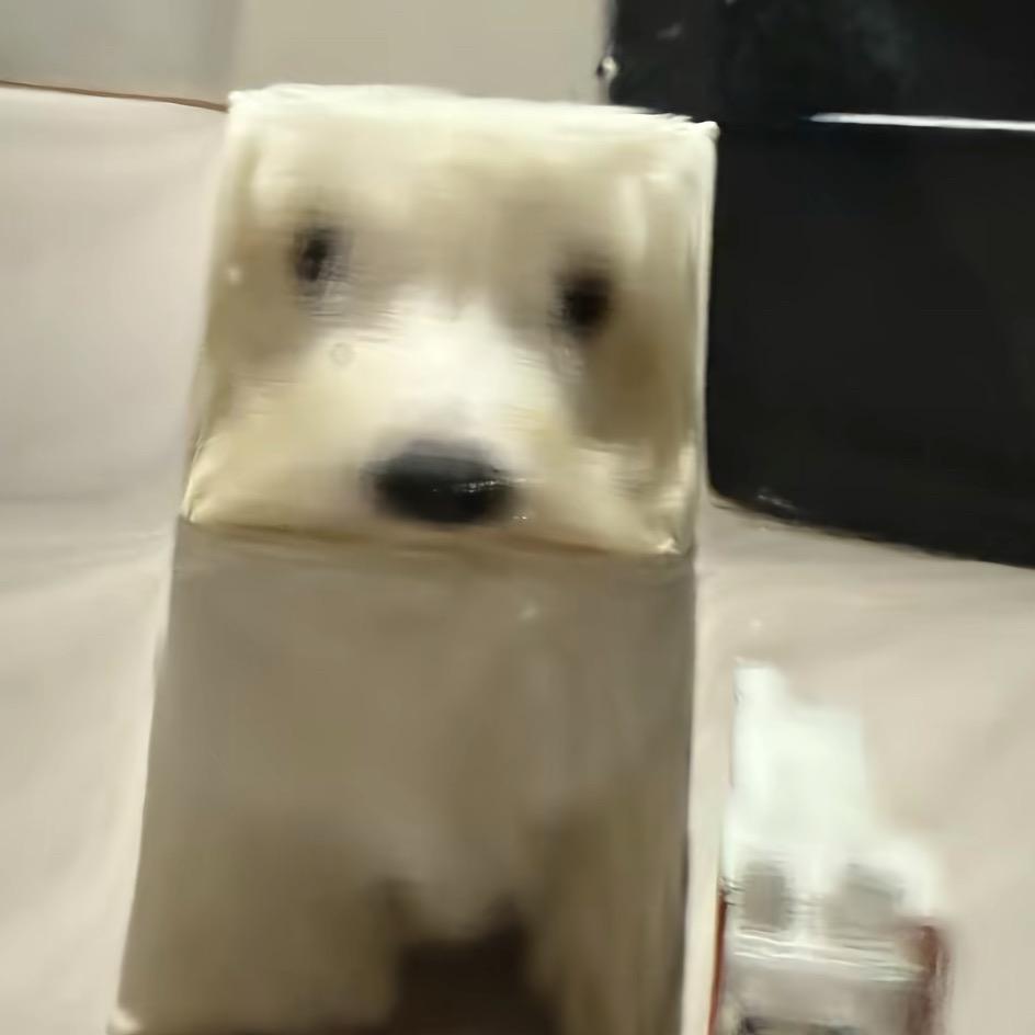 清爱浊