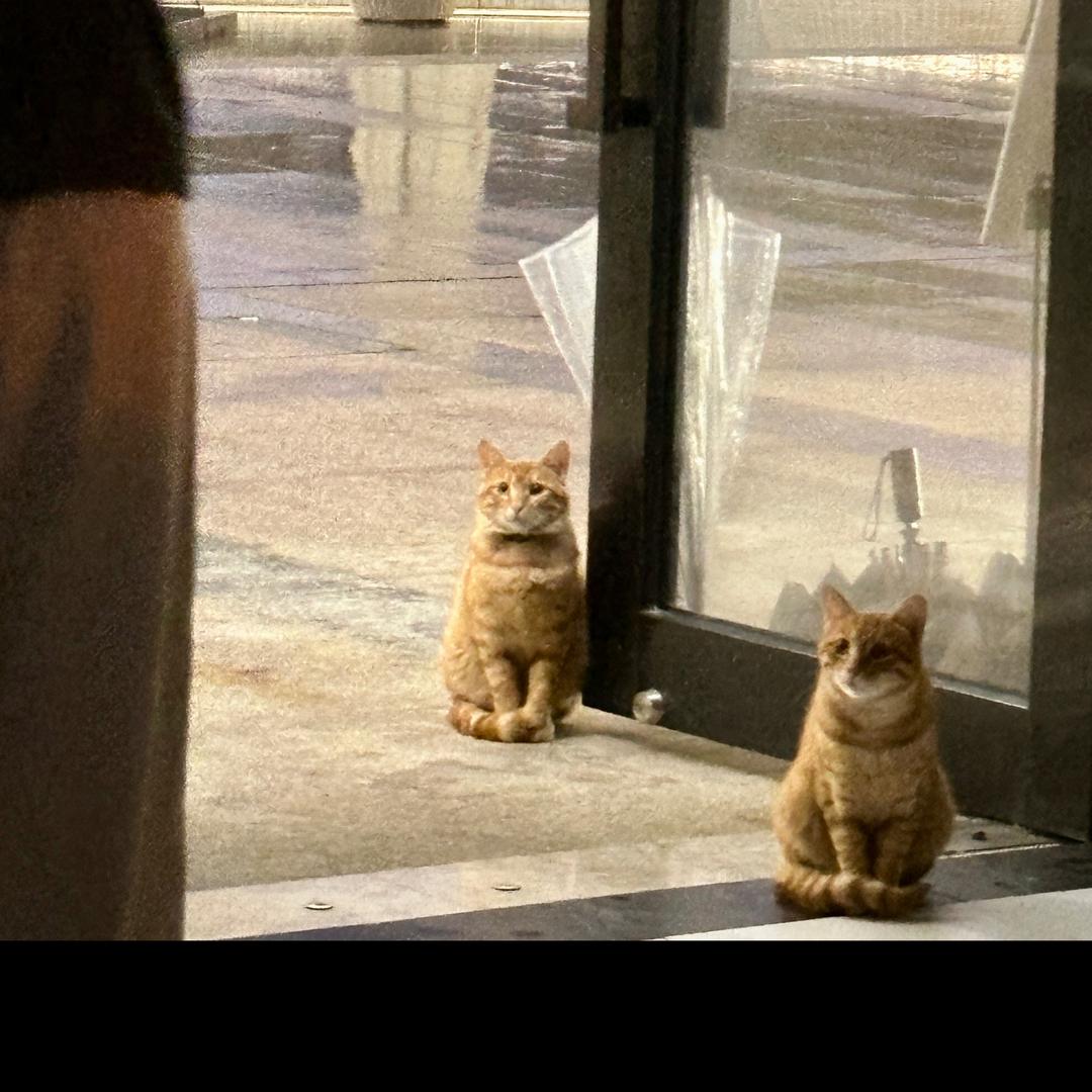 叫我小明好么！