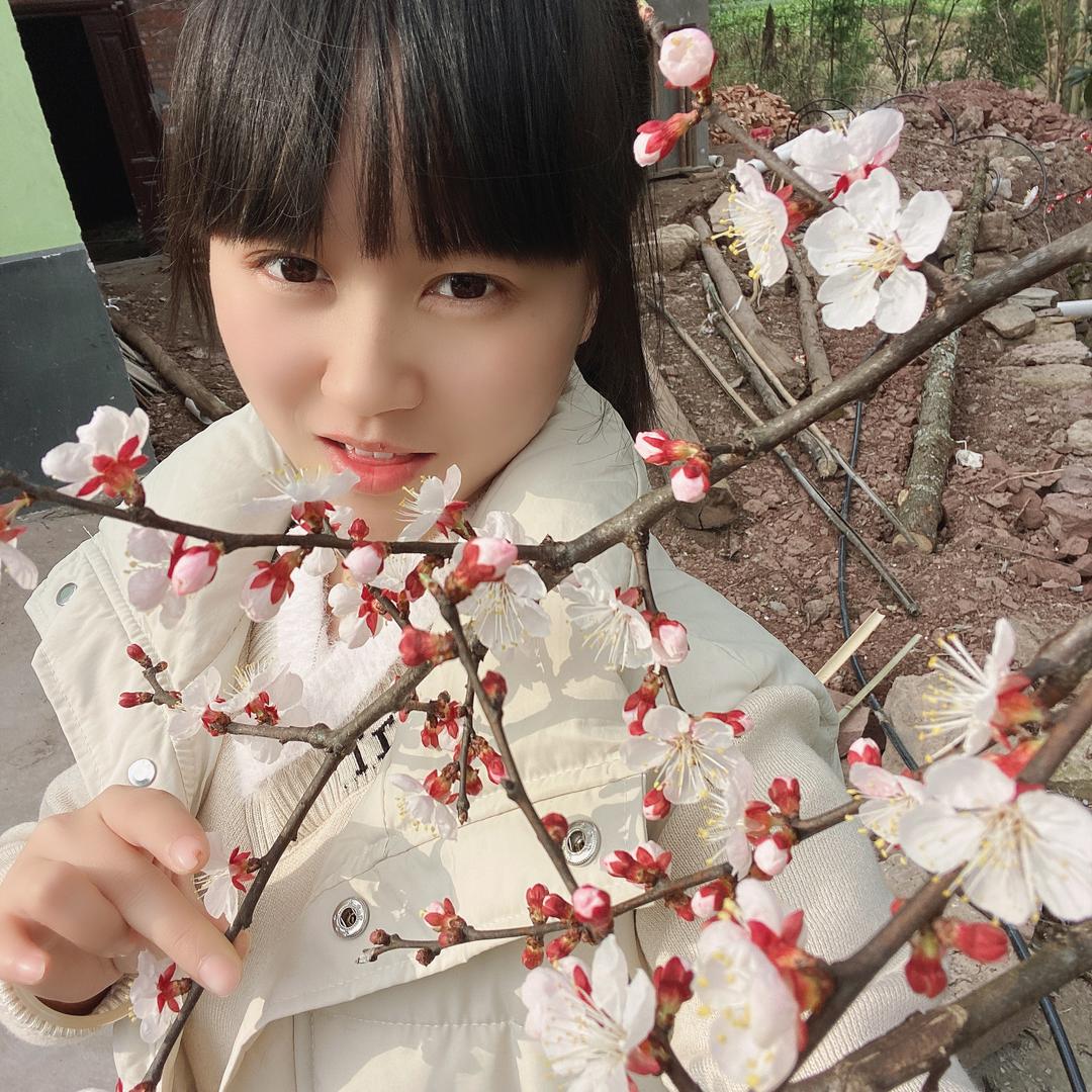 奉节李菇凉