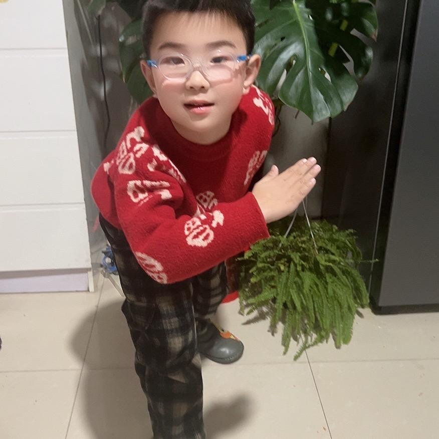 淀之乡