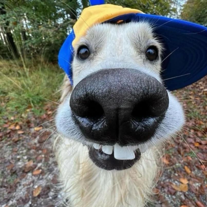 超级无敌大帅哥