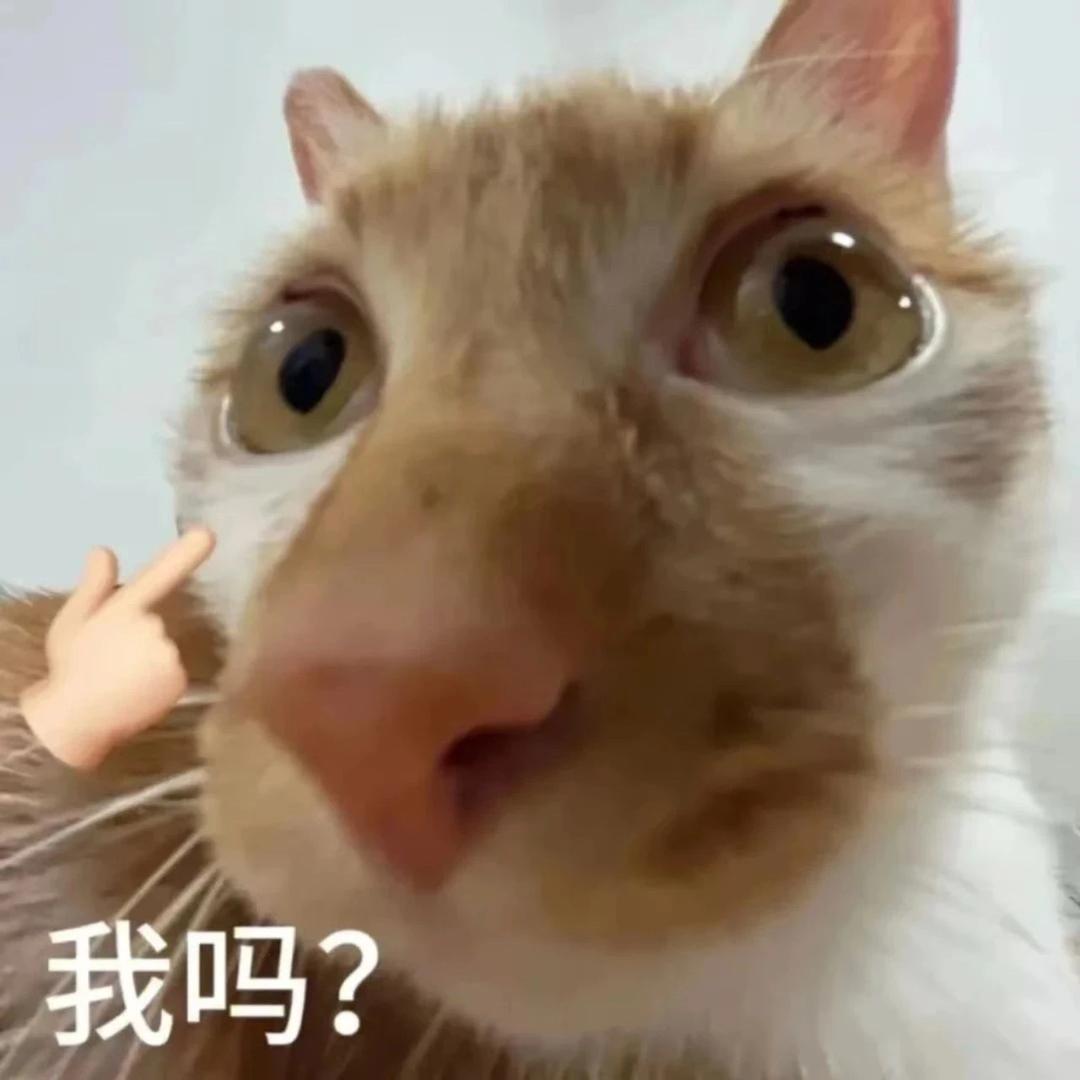 图图图🐯