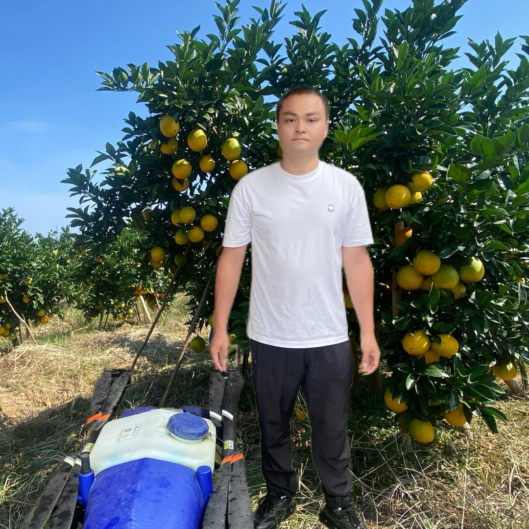 橙心不变🍊小茱