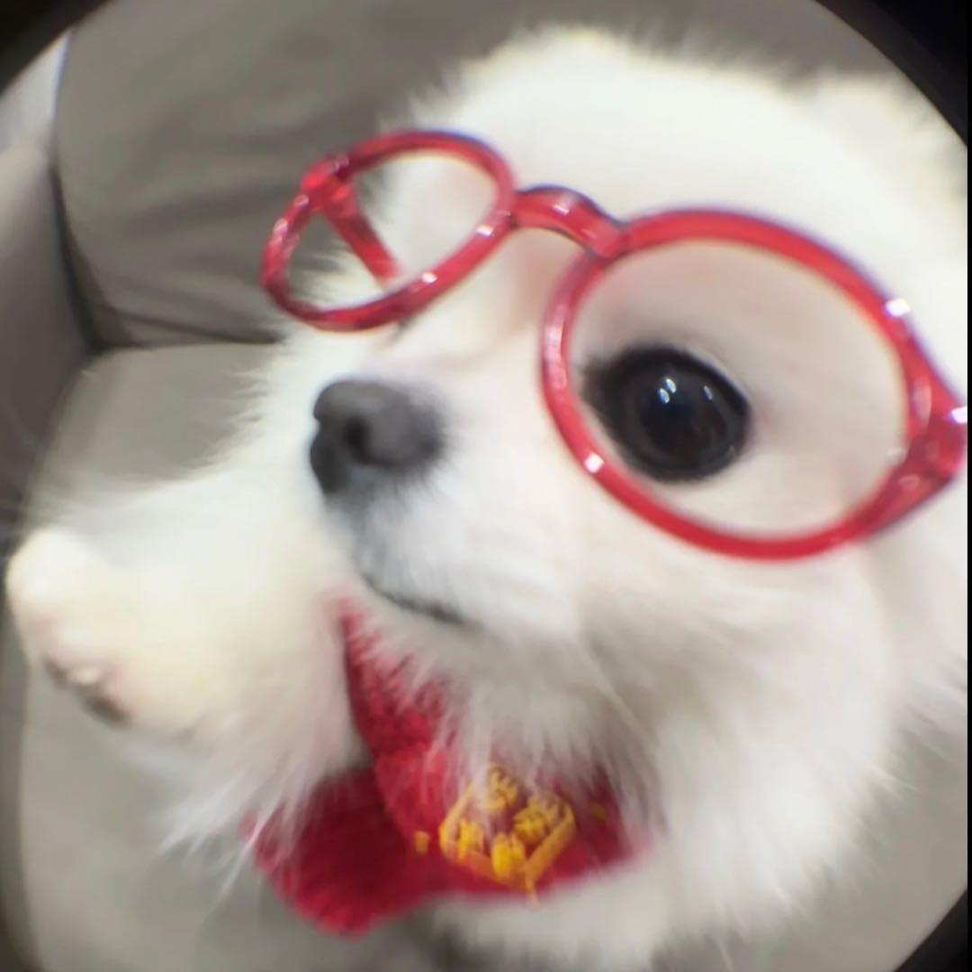 你知道个p（和章昊啵啵版）