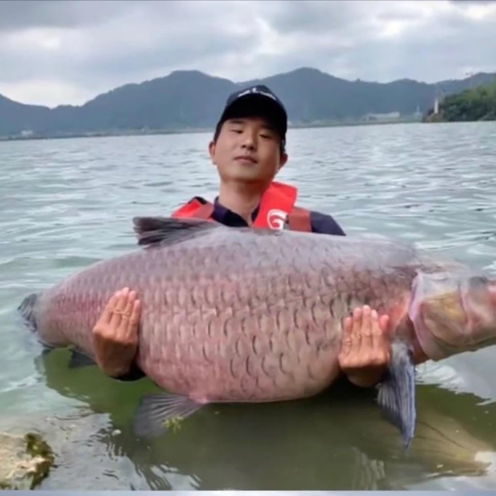 沙堆百货店的头像