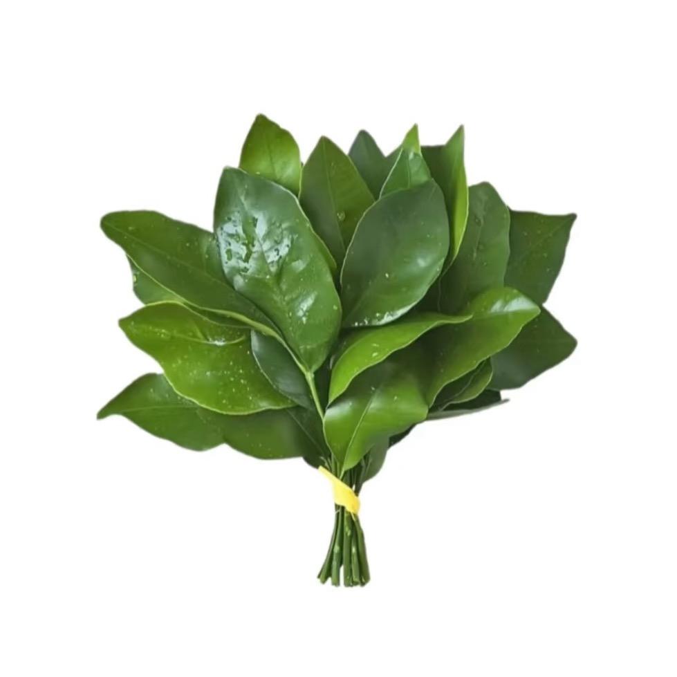 好多鱼-