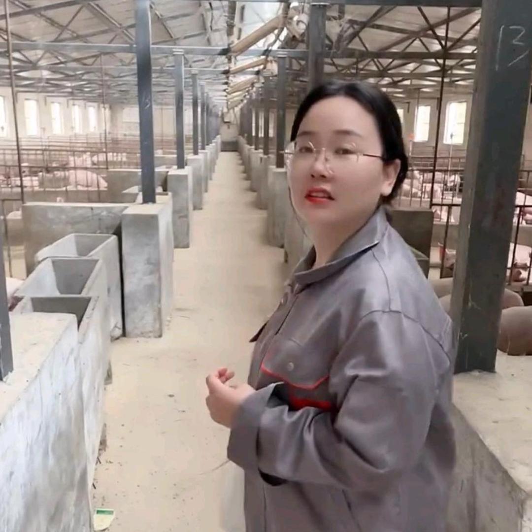 婷婷养猪好物分享