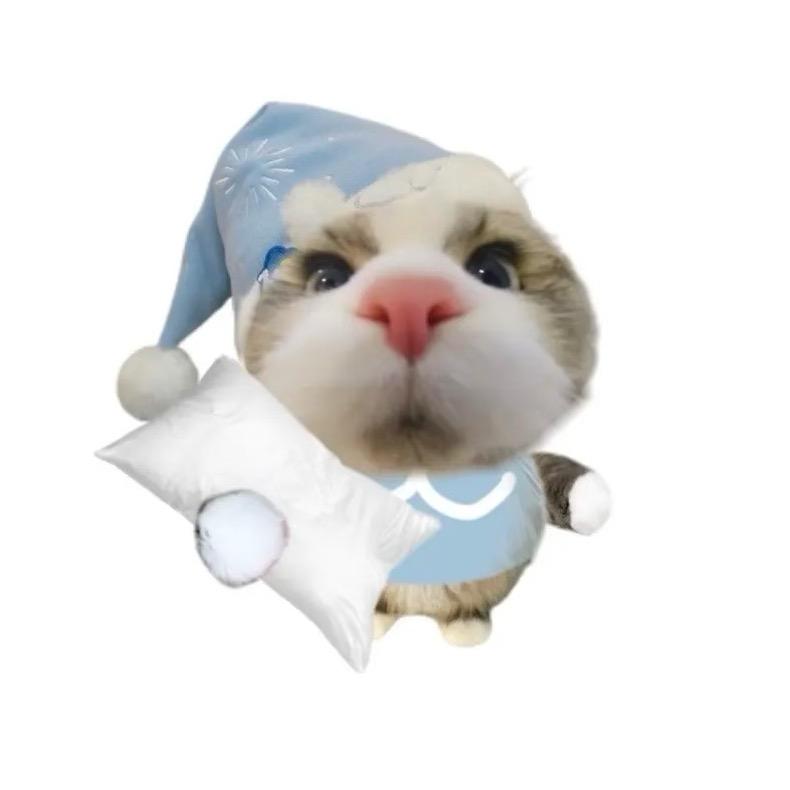 任同志