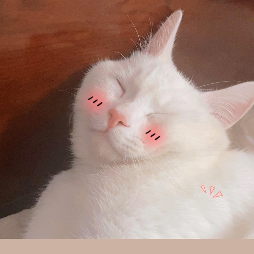 小琳腿不短