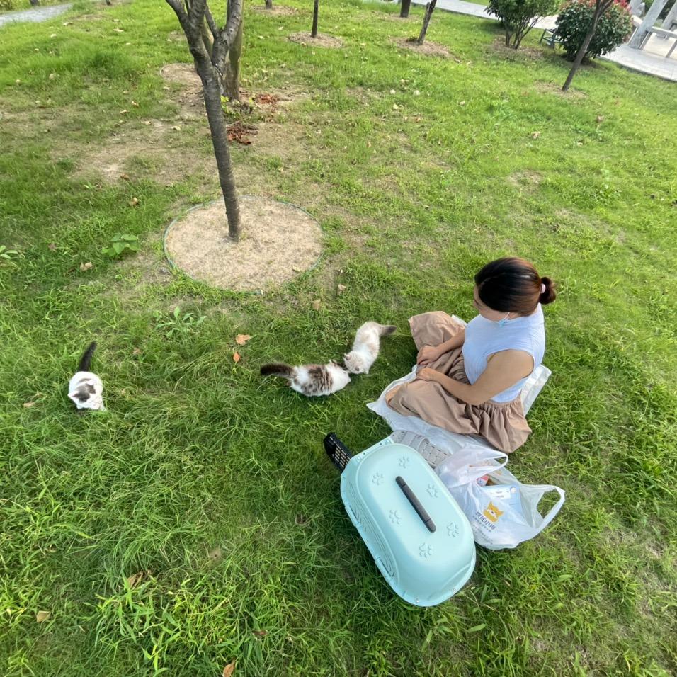 淮安   .  小淘气宠物医院    l