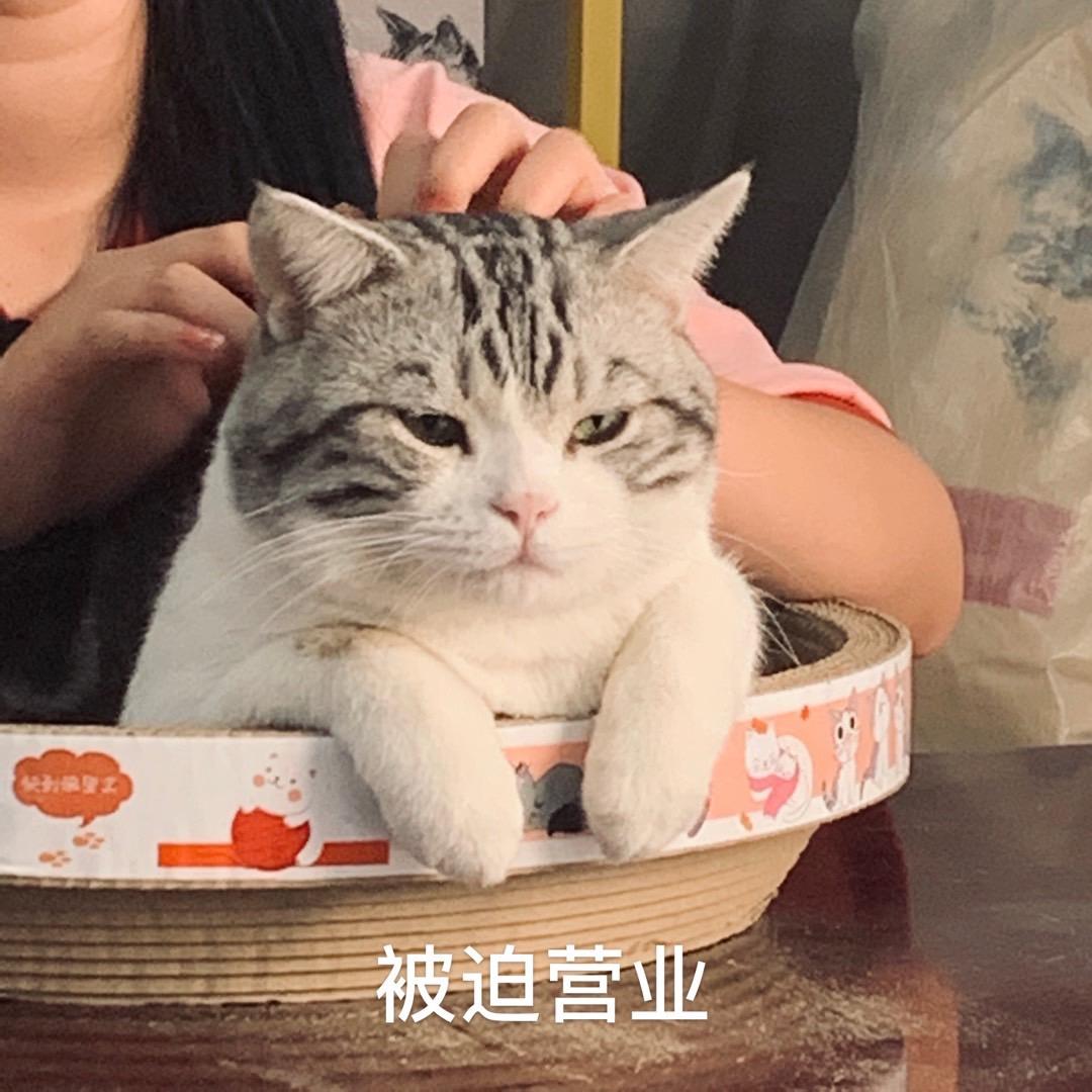 奥莉特邢台优宠宠物用品有限公司宠物专卖店