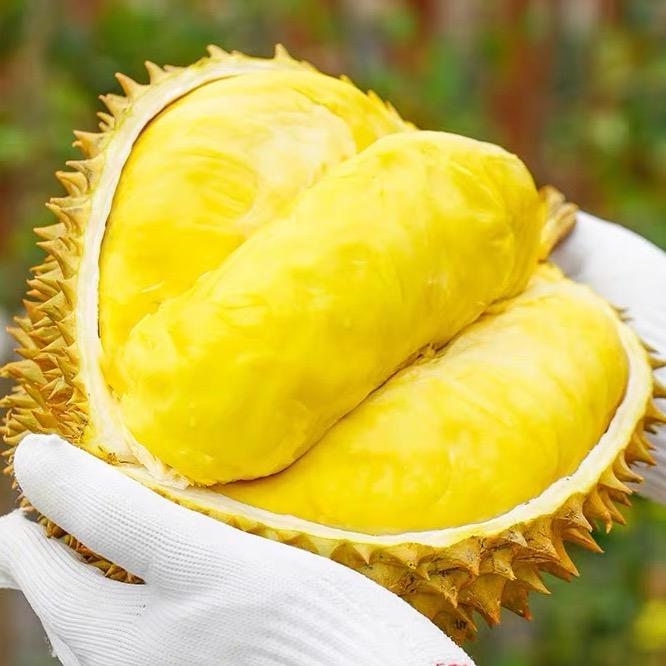 泰味密码