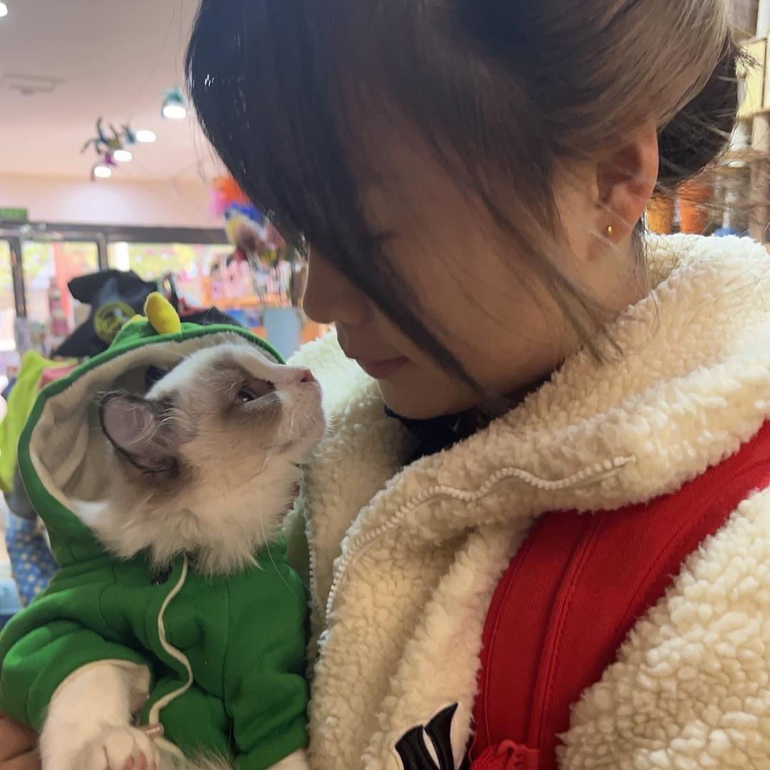 金色阳光开心荷包蛋🪷