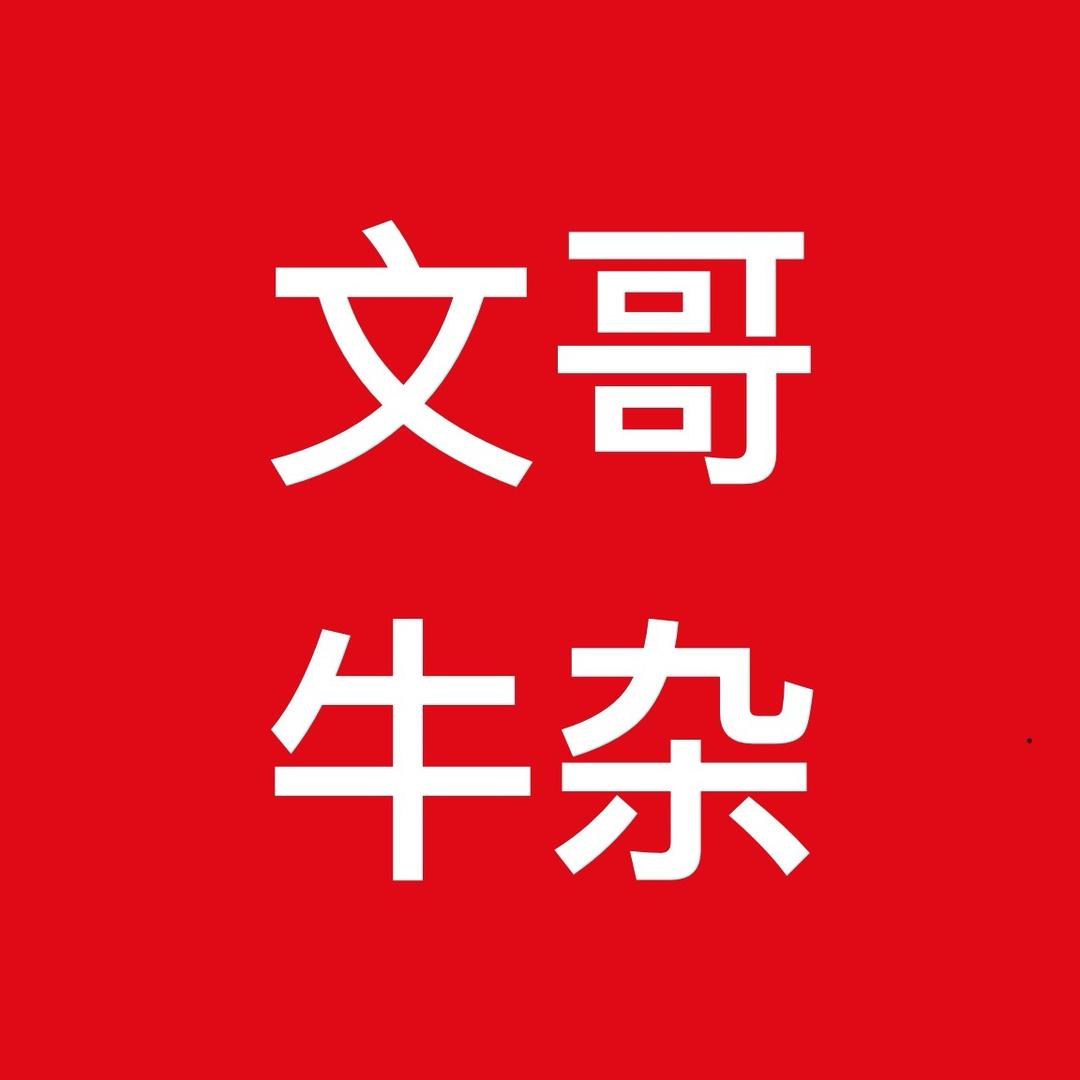 文哥牛杂档日常
