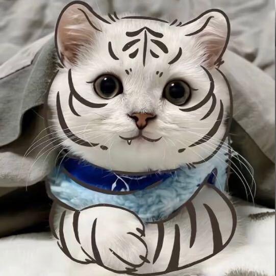 梦奇（李雪花花学院）