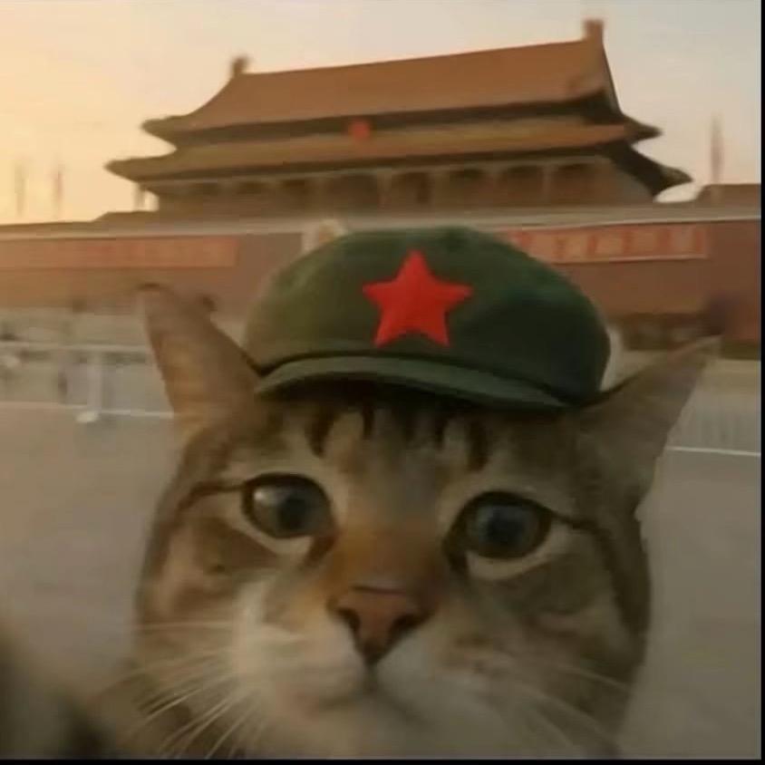 初 心.