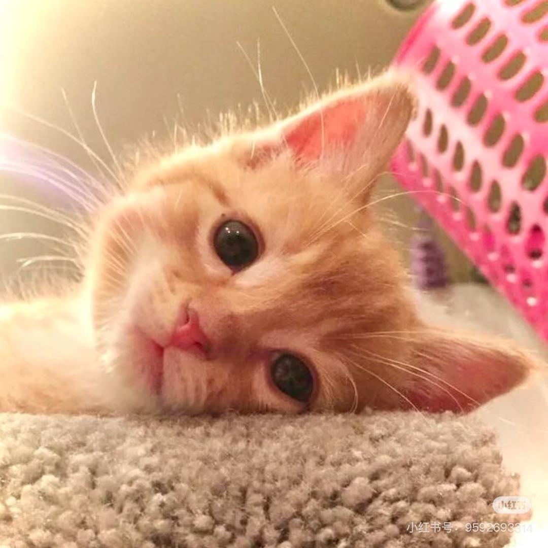 oneday（见过杰伦版