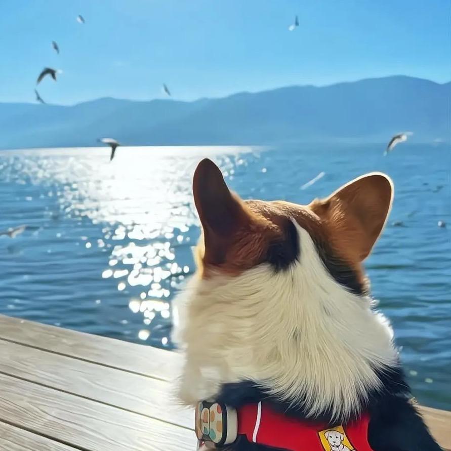 你我热情有限❤️