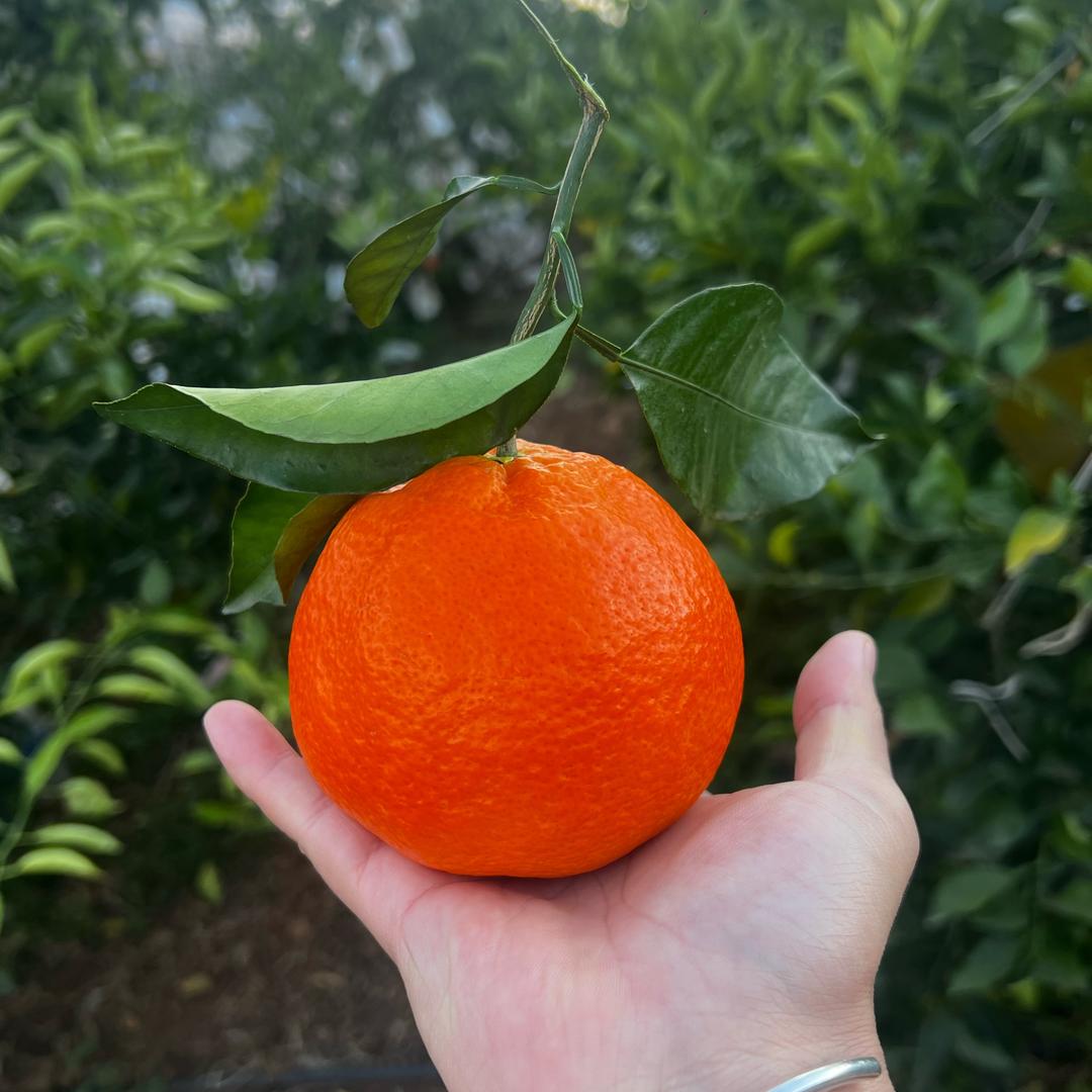 方小玺