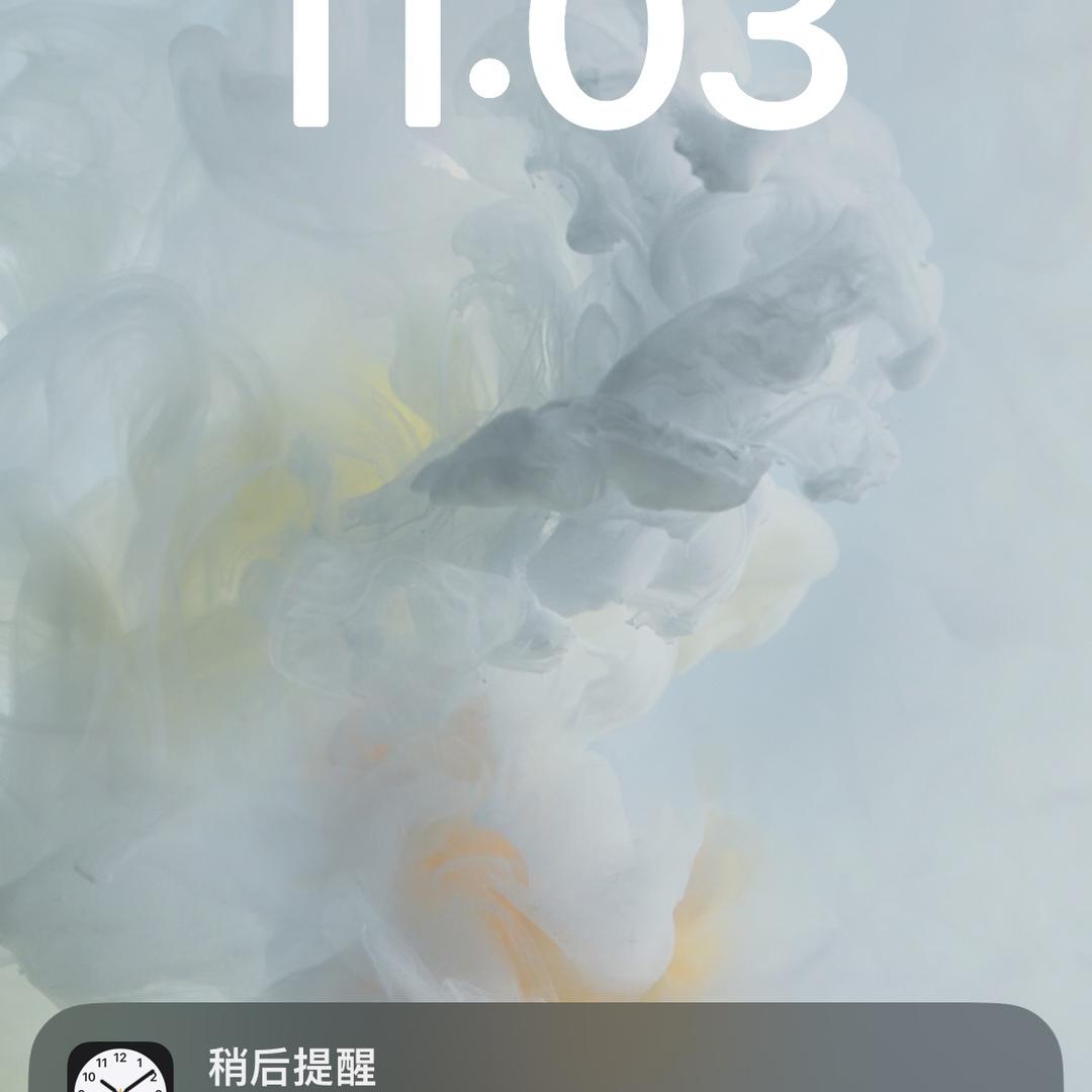 @小杨的君君（三角粥行动）