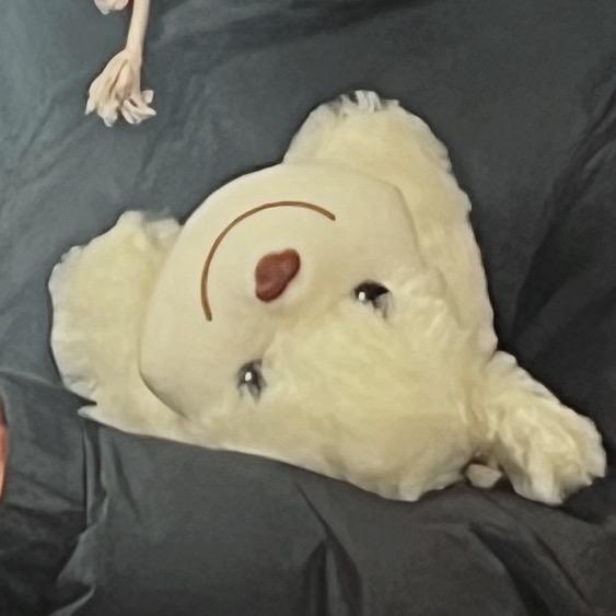袋袋