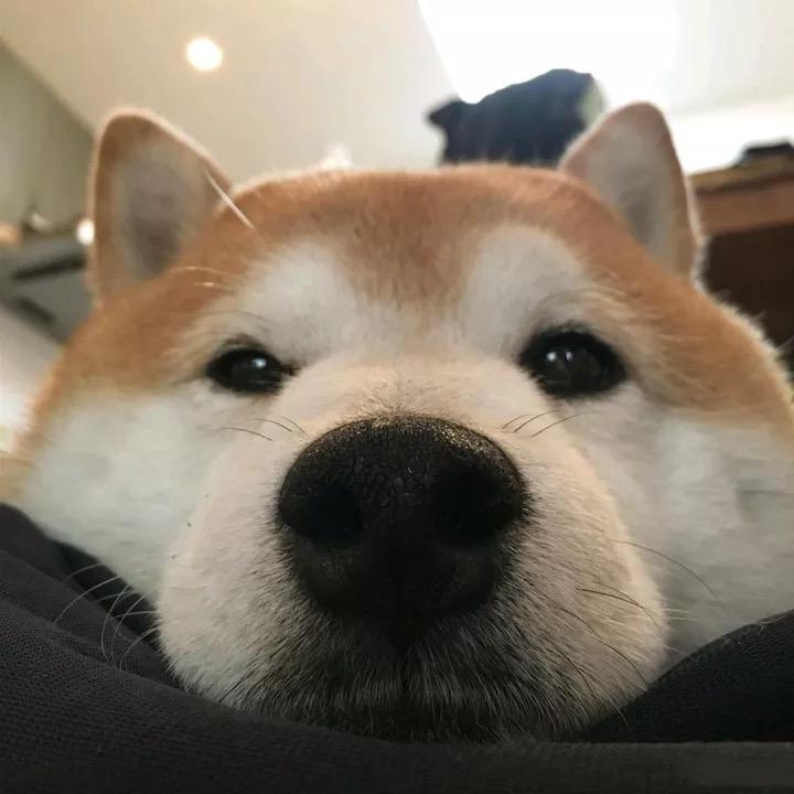 肉丝