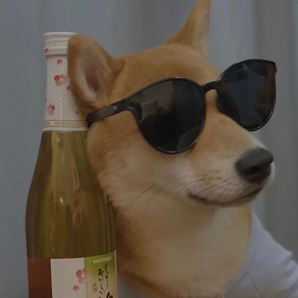 公主真的不想打工了👸