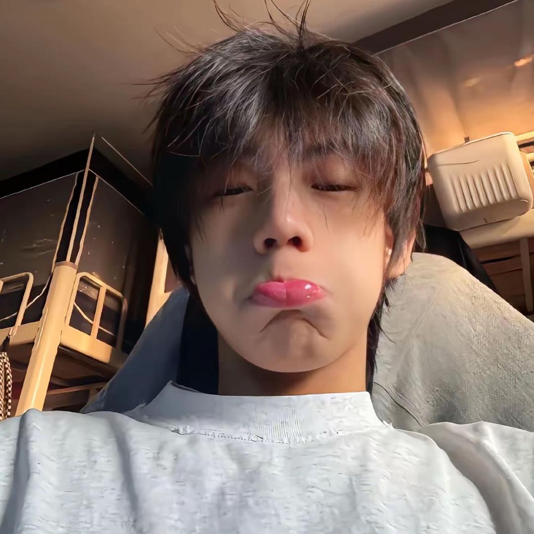 一只小尘