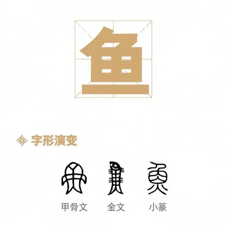 青禾鱼苗