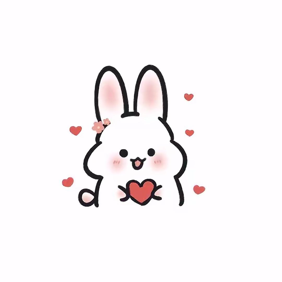 兔子分享日记~🐰