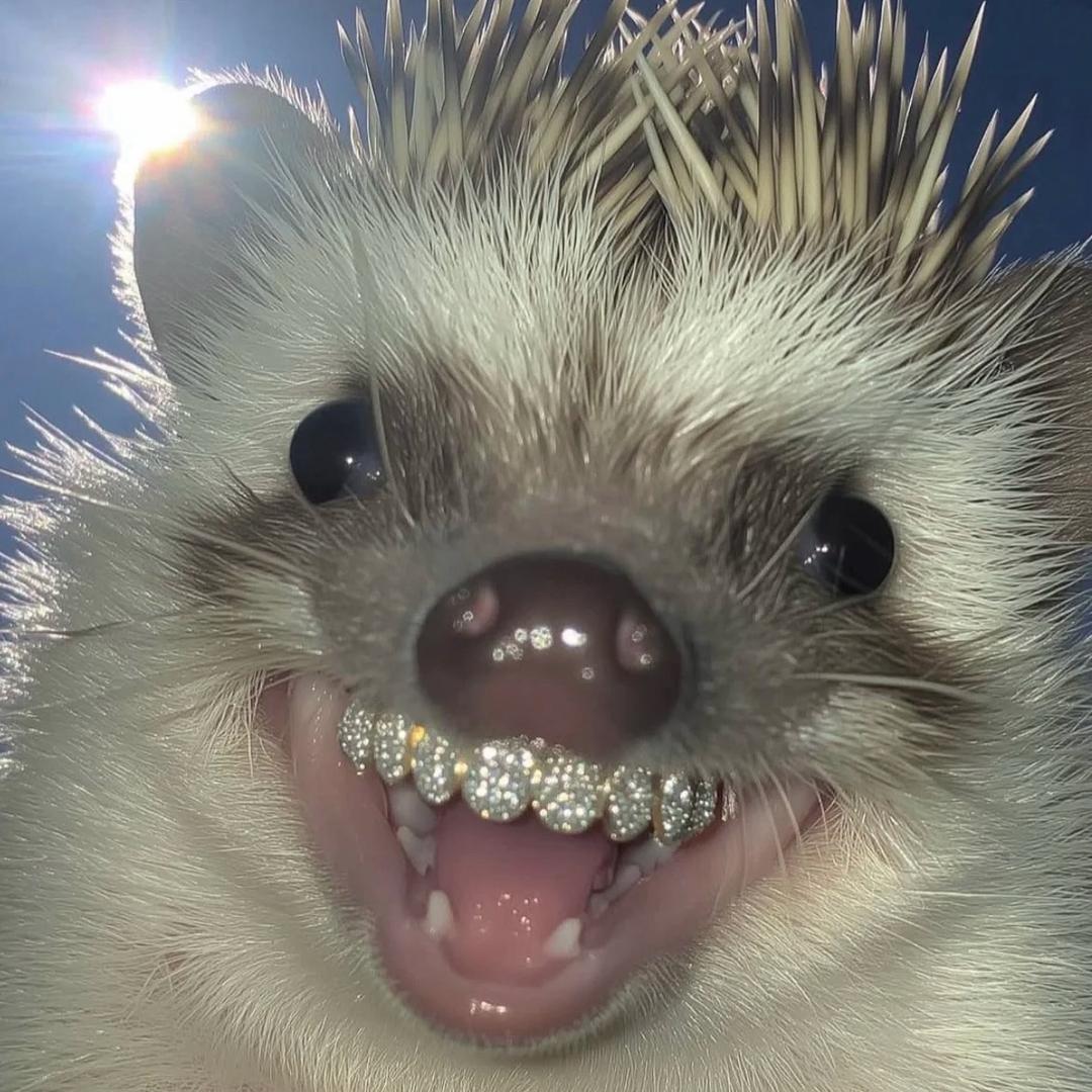 徐乐阳RYAN✨🦧rich