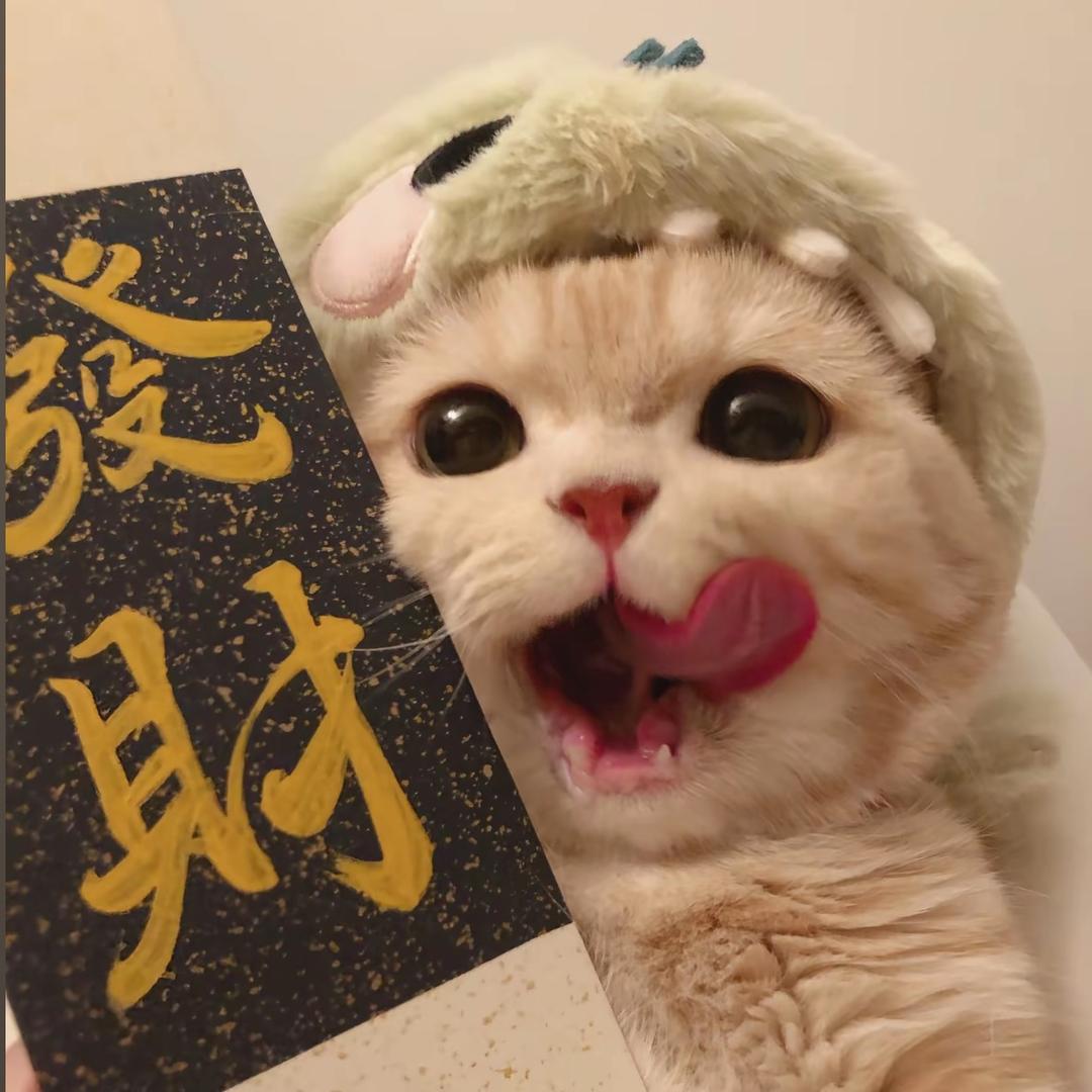 九八断码精品