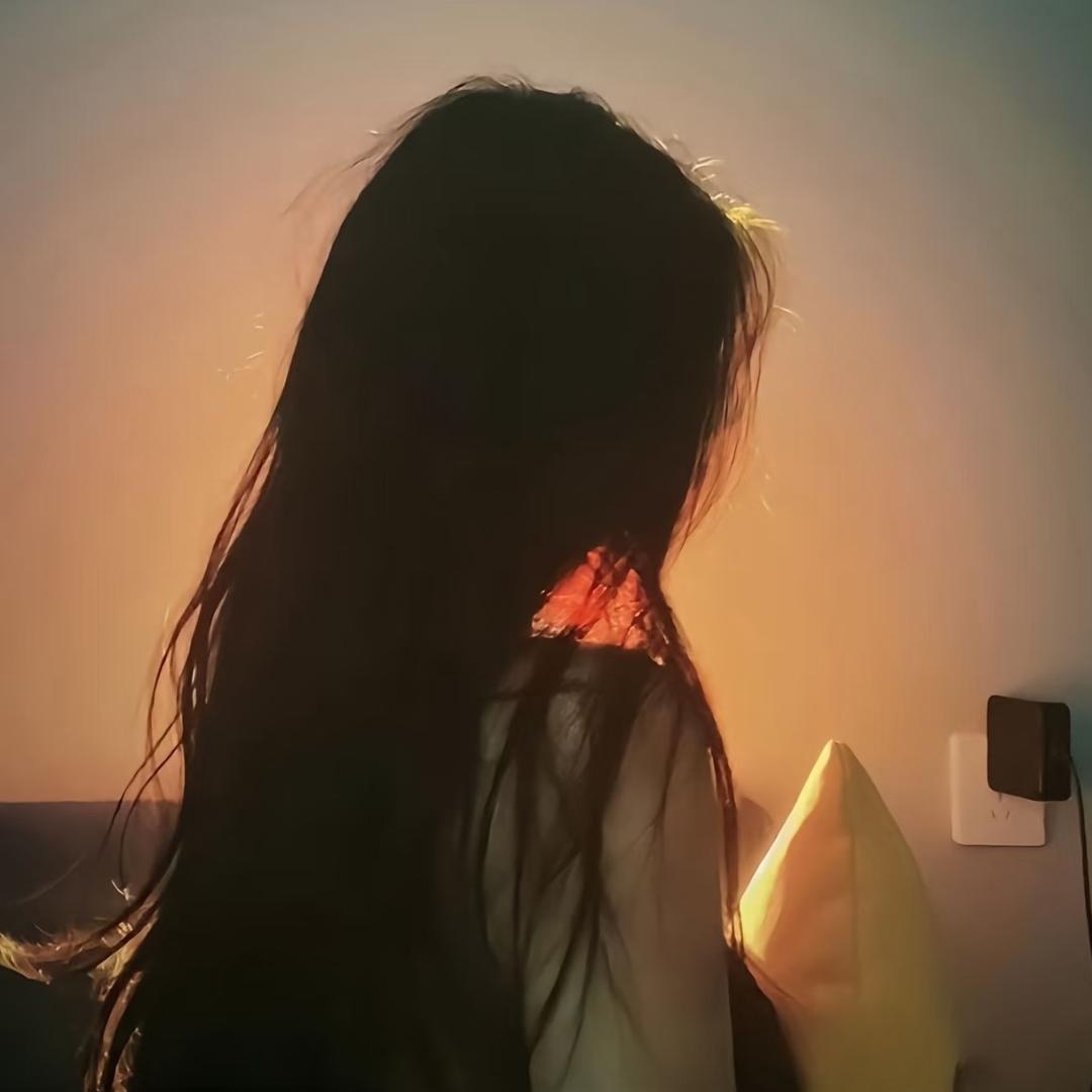 终是镜中月