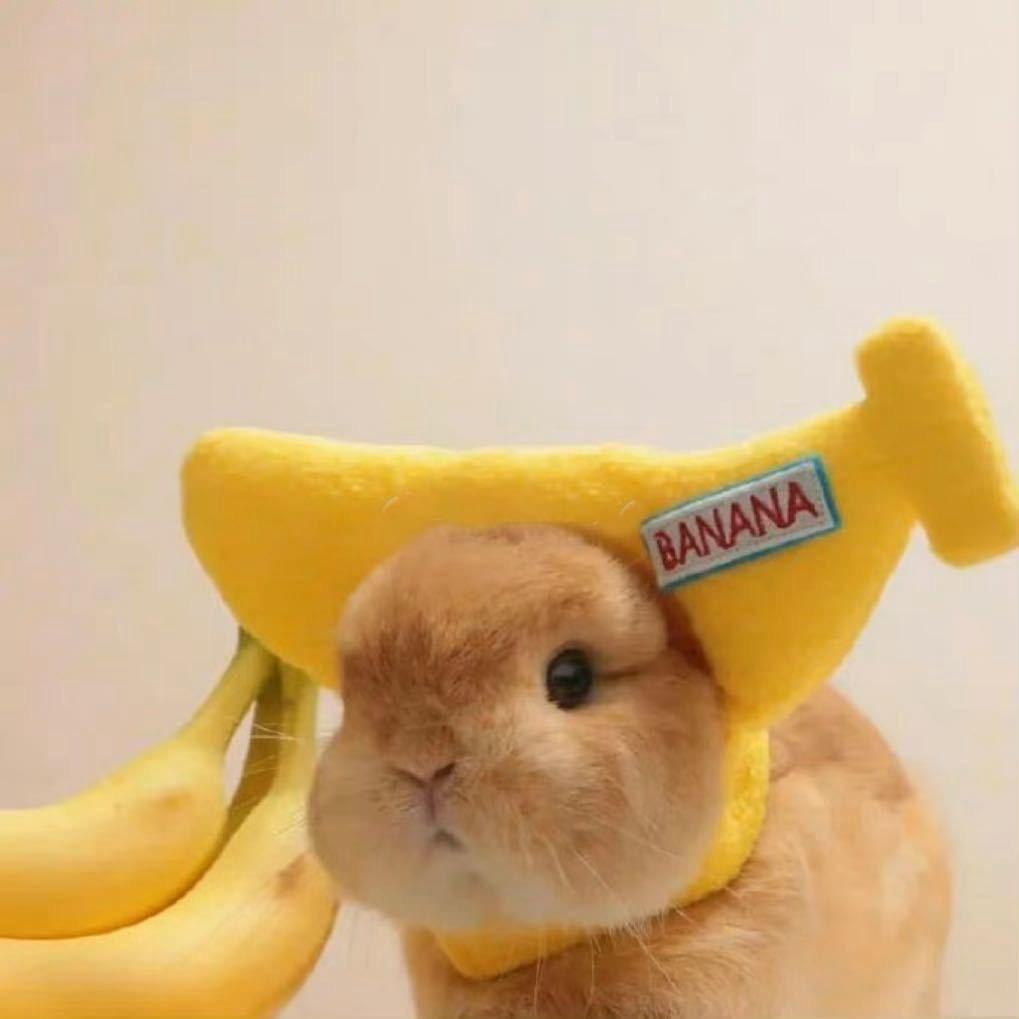 萌蔬菜