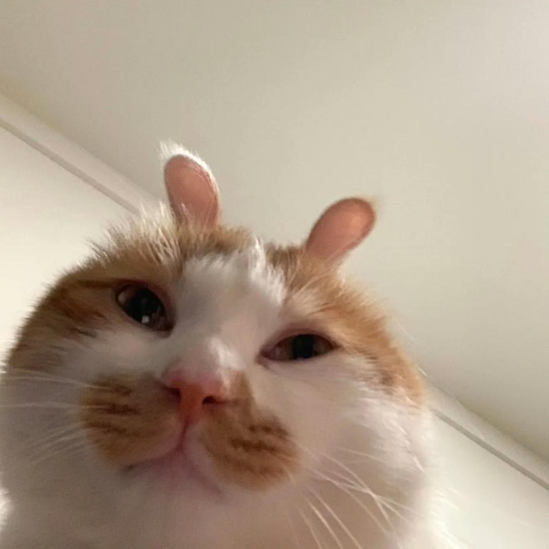 1123