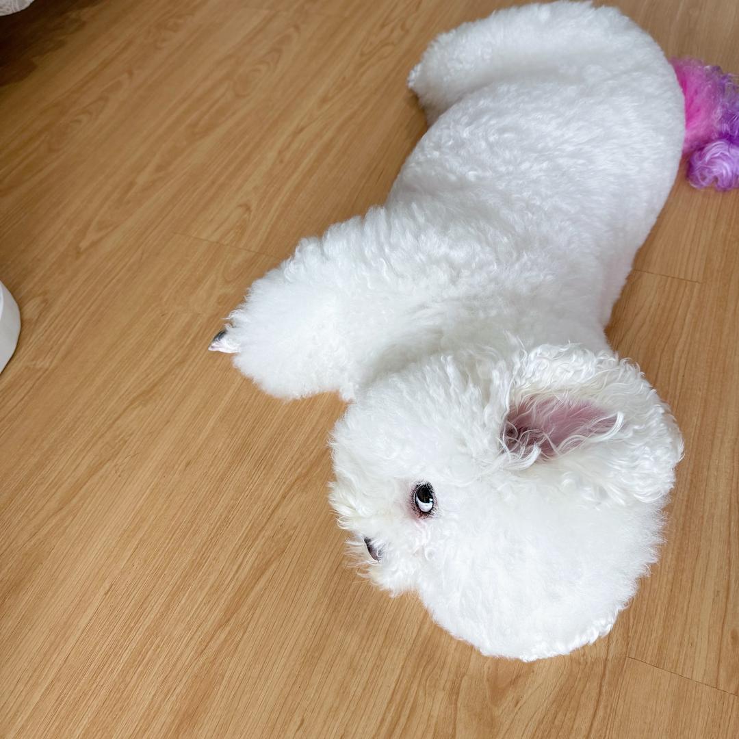 李家大小姐驾到头像