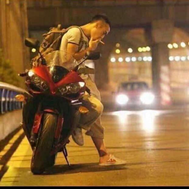 向阳的鱼