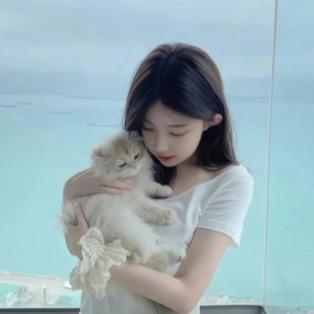 ㅤ  ㅤㅤ ㅤㅤ ㅤ  ㅤㅤ  ㅤ  Z
